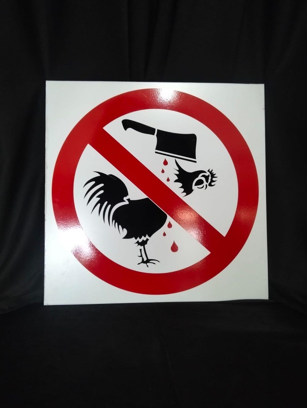 3b66c62fef90d9d9.jpg