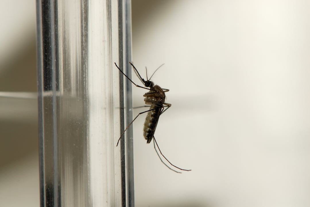 3101cb41afec524a.jpg
