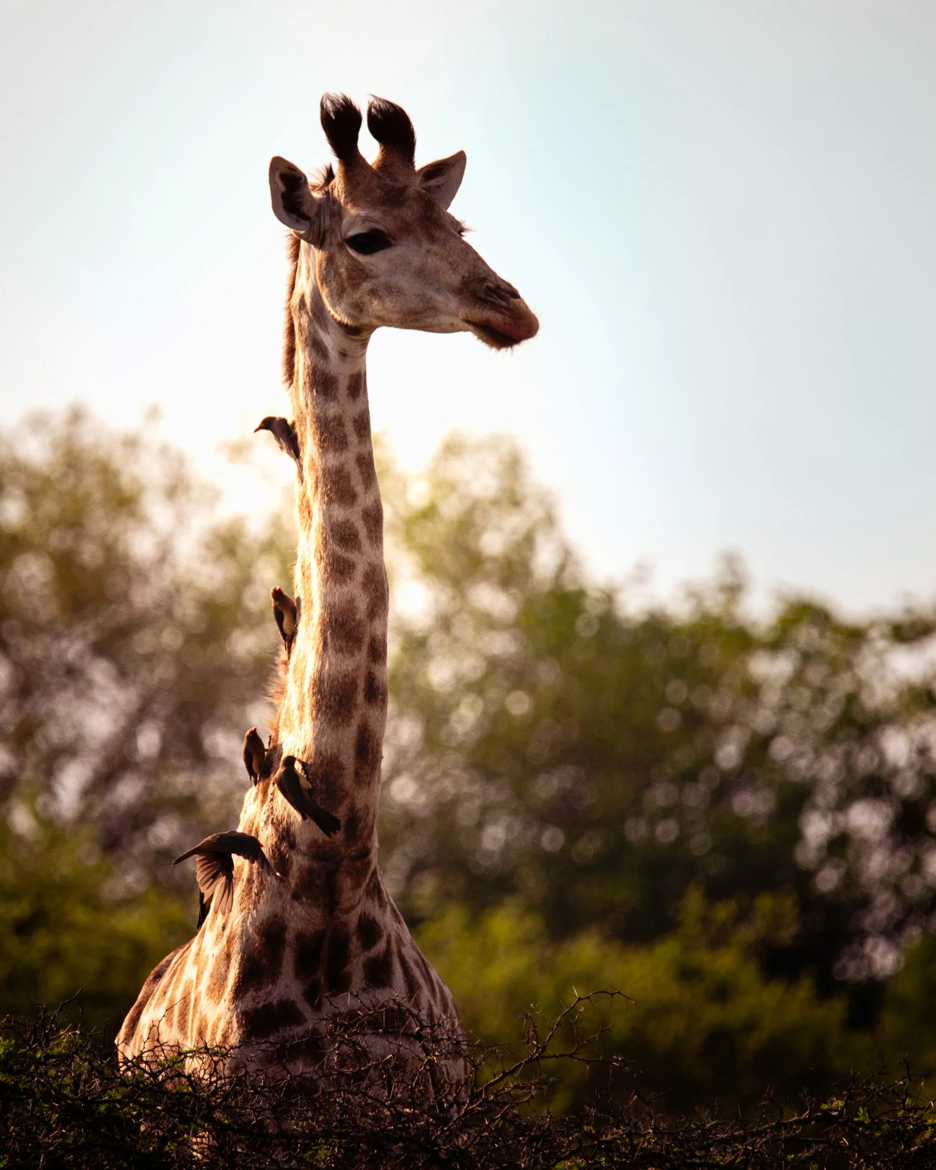 Doretha Rost／Unsplash