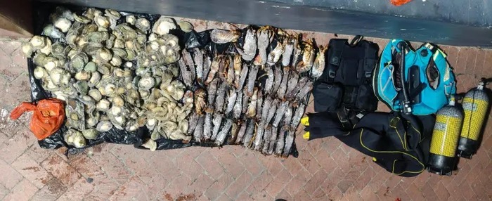9月21日，警方在开普敦Hout Bay的另一起案件中查获估值约50万兰特的海产。 / SAPS ...