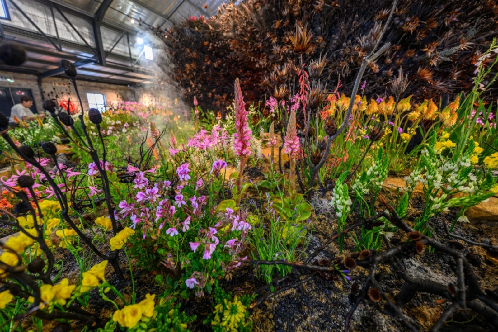 斯坦福Chelsea Flowers展出的“Life After Fire”花卉展陈。 / Supplied