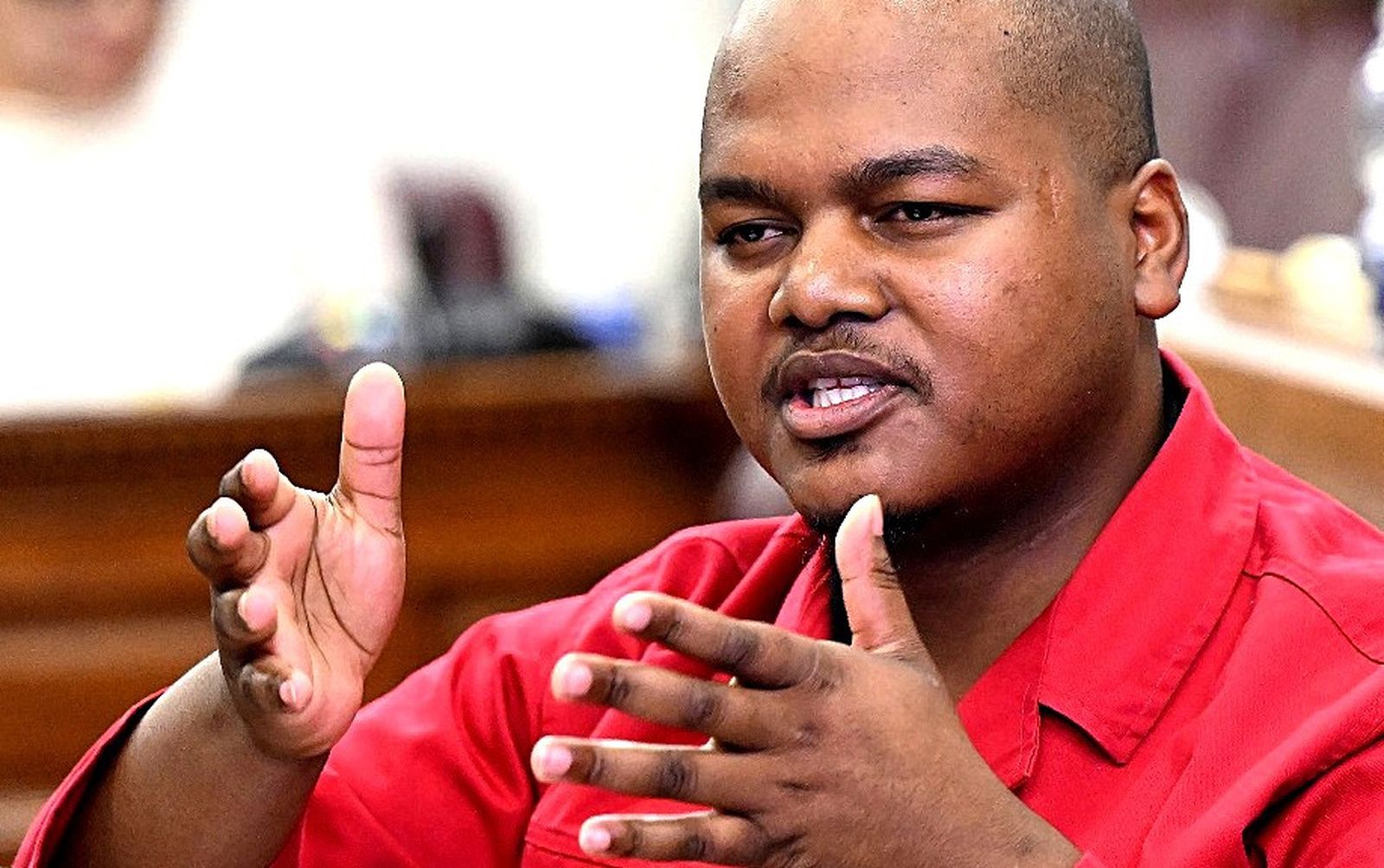 经济自由斗士党议员Sihle Lonzi。 / Phando Jikelo / RSA Parliament