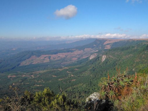 姆普马兰加Kaapschehoop景观，原文配图。 / Hiking South Africa