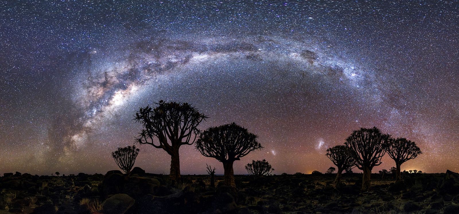 纳米比亚基特曼斯胡普附近箭袋树上空的银河。 / Jianfeng Dai / IAU OAE（CC BY 4.0） ...
