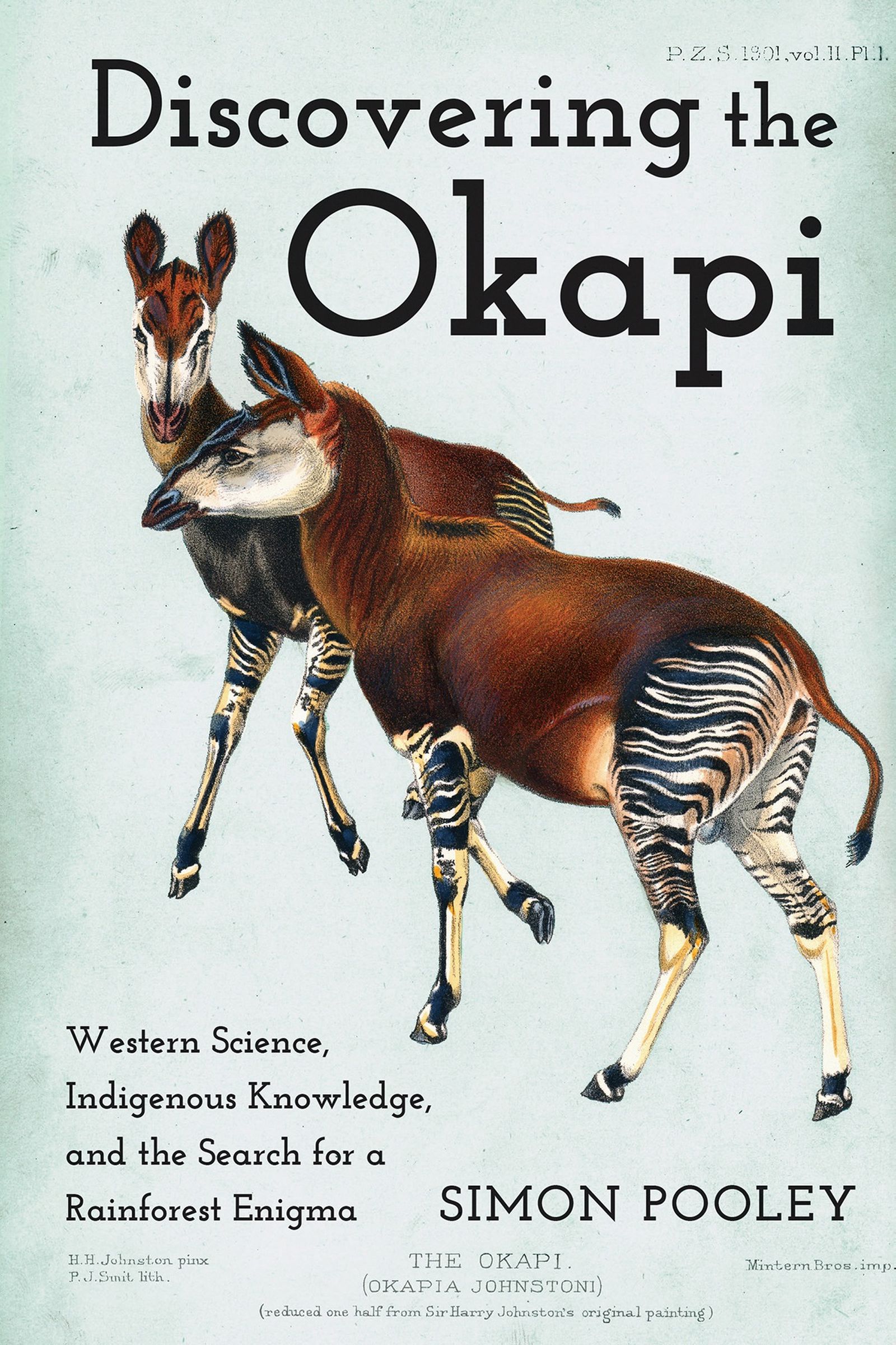 《发现霍加狓》（Discovering the Okapi）书封。 / Wits University Press