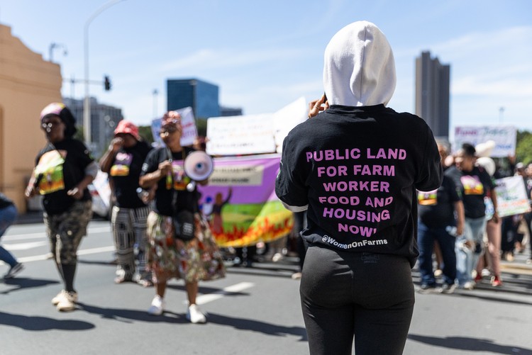 农场工人要求将公共土地用于妇女小规模农业及工人住房。 / Ashraf Hendricks