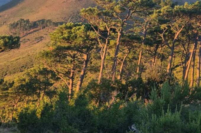 Take Back Our Mountains / Facebook