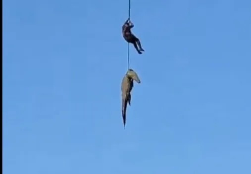 资料图：波特吉特与一条体内发现人体遗骸的鳄鱼。画面来自此前搜寻行动。 / SAPS ...