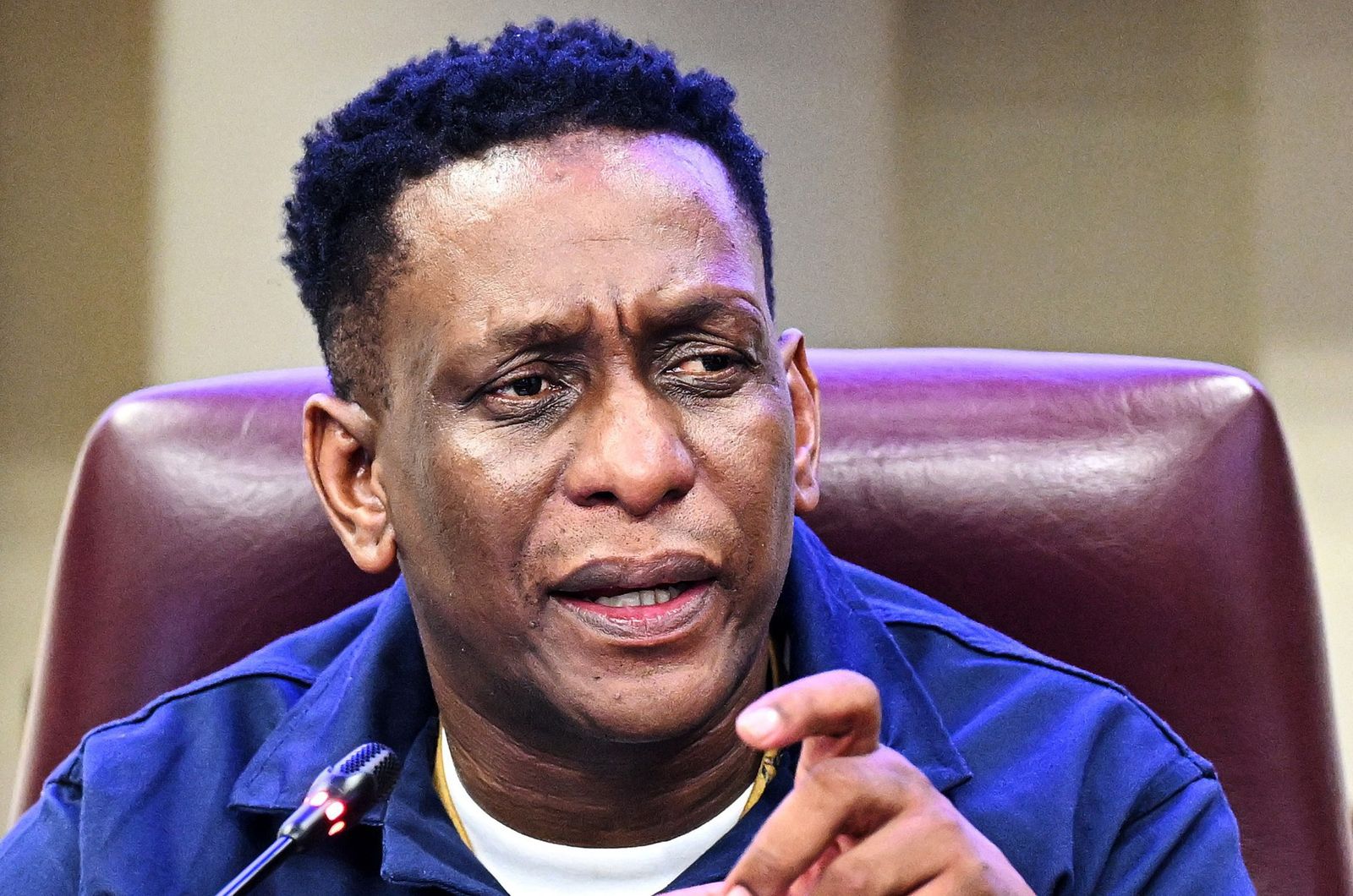 Tebogo Letsie。 / Phando Jikelo / RSA Parliament